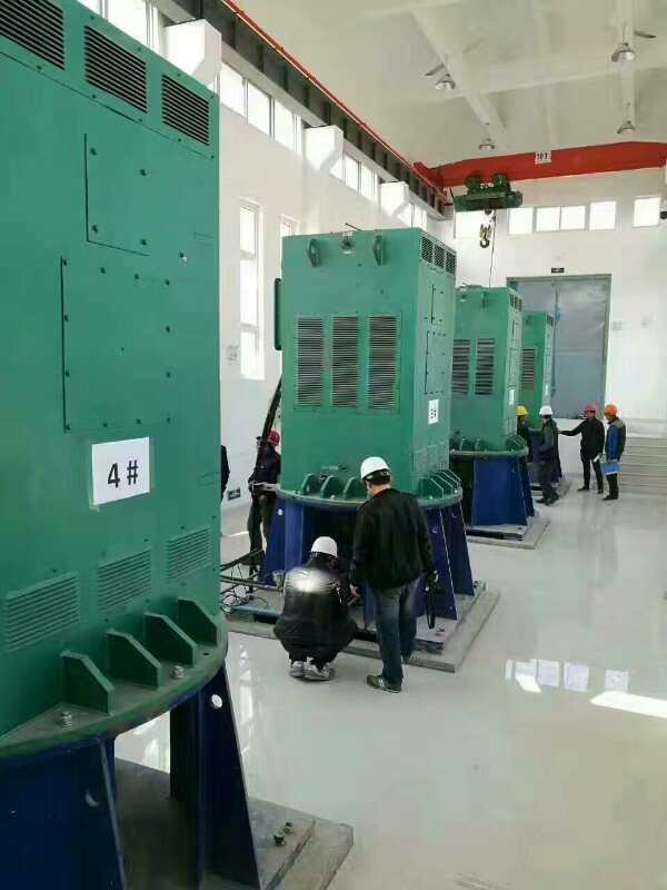YR4501-6某污水处理厂使用我厂的立式高压电机安装现场