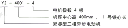 YR系列(H355-1000)高压YR4501-6三相异步电机西安西玛电机型号说明